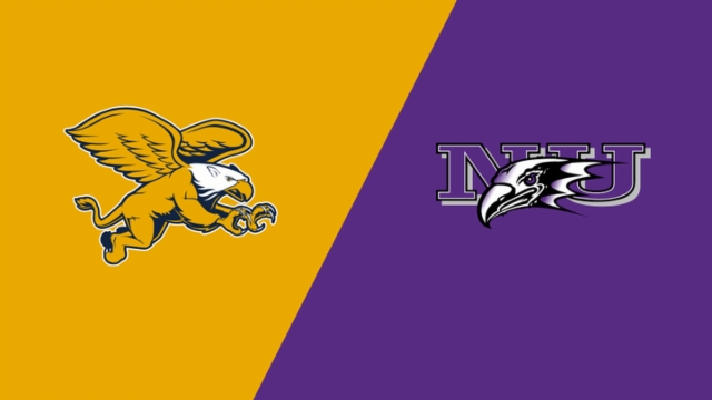 迷对这场足 迷对这场足